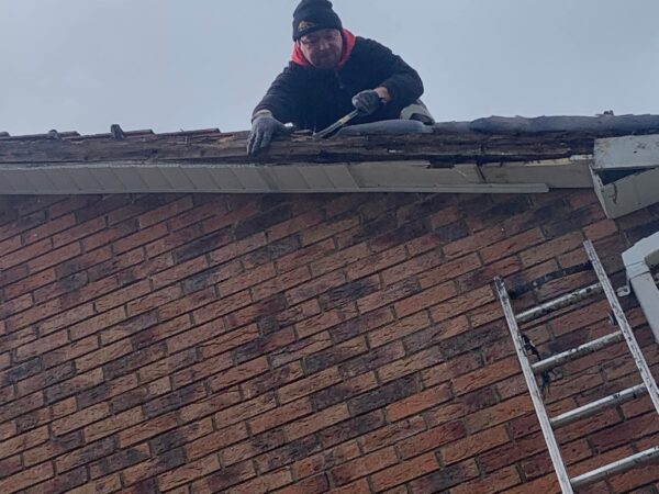 Dry Verges Dun Laoghaire